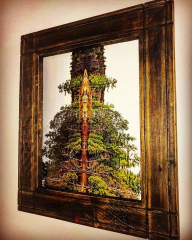 A framed artwork depicting a stylized tree design with vibrant colors and intricate details.